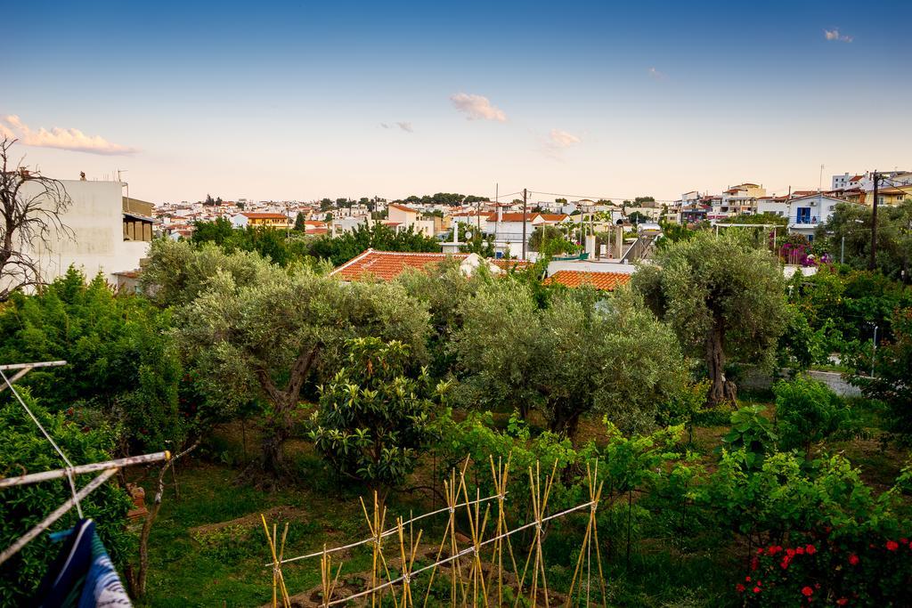 Act Art Skiathos Ngoại thất bức ảnh
